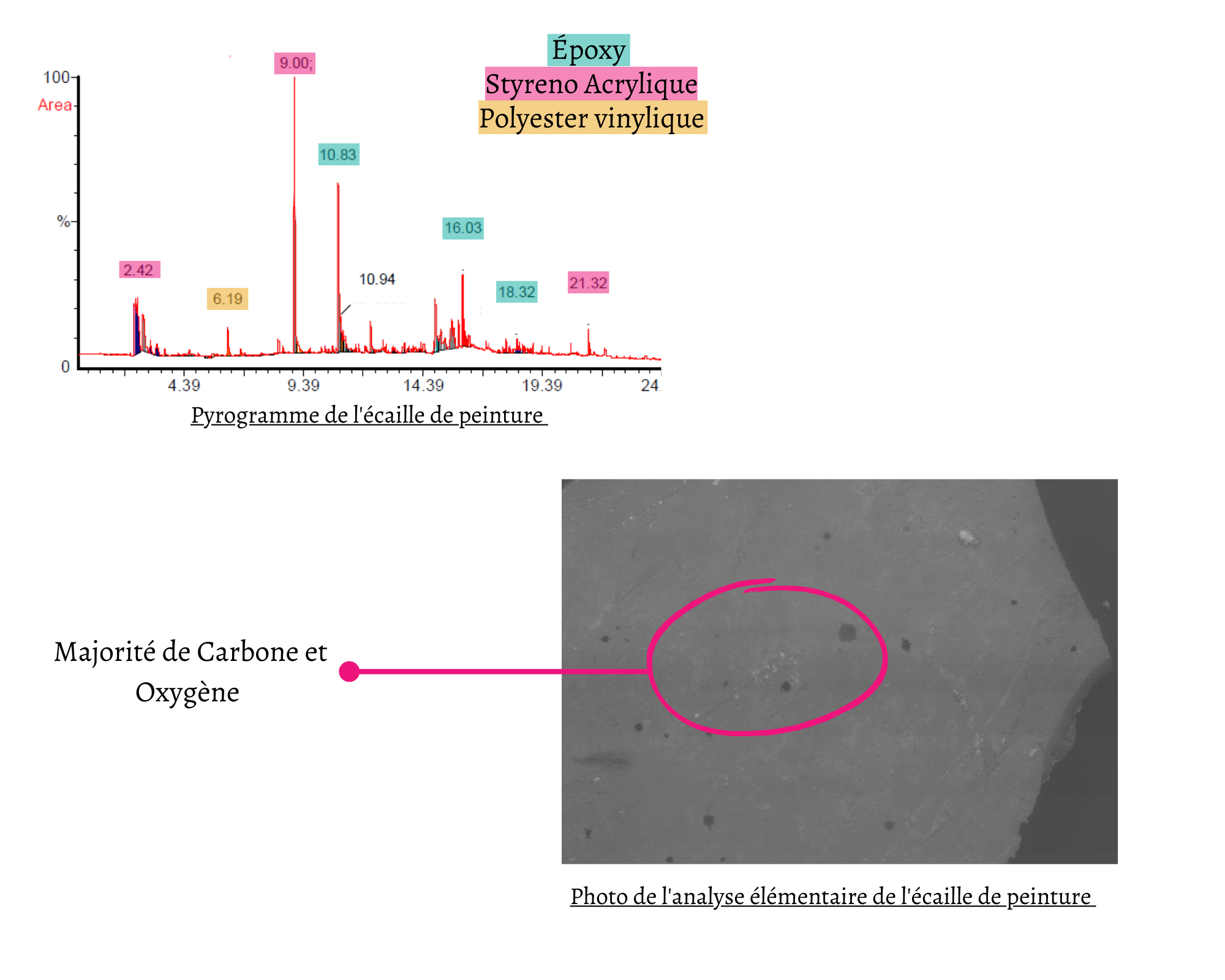 Chromatogramme d'écaille de peinture